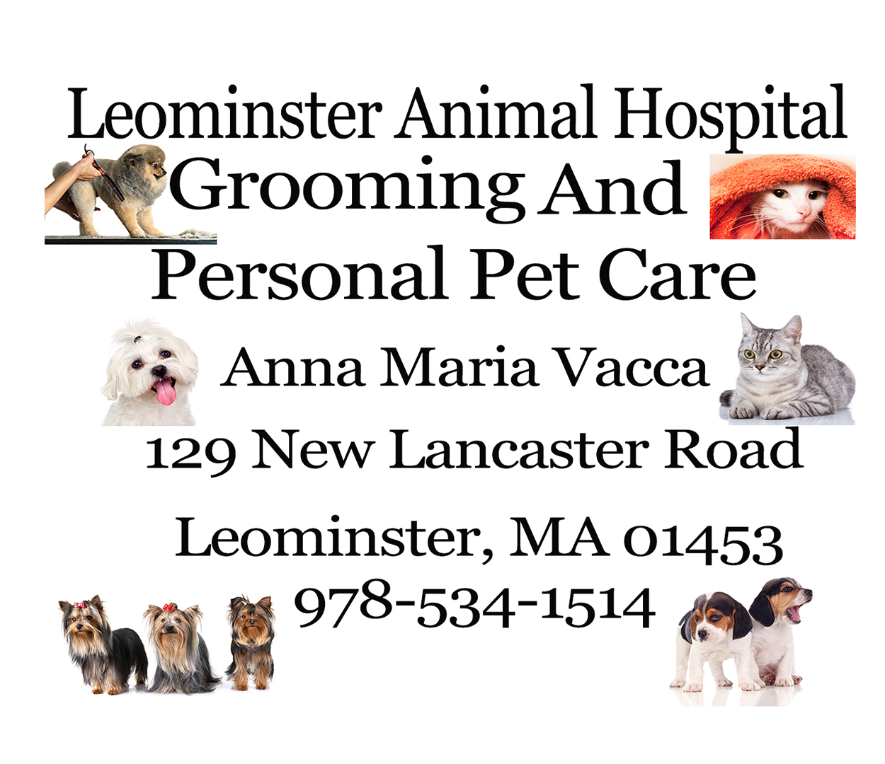 Leominster Animal Hospital